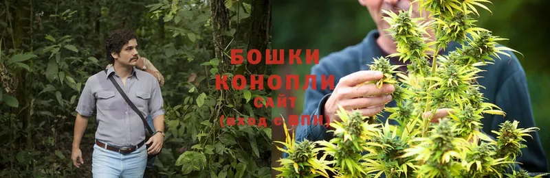 Марихуана OG Kush  нарко площадка как зайти  Североморск 